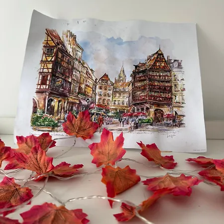 L'unik Maison De Cosy * Haguenau