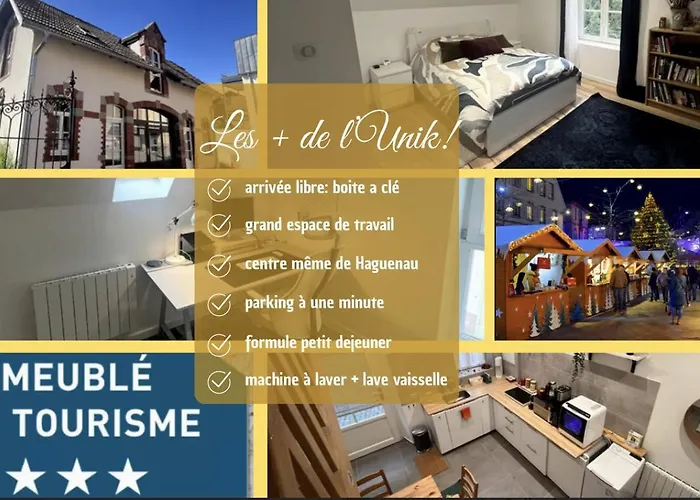 Duplex Hag Hébergement de vacances Haguenau